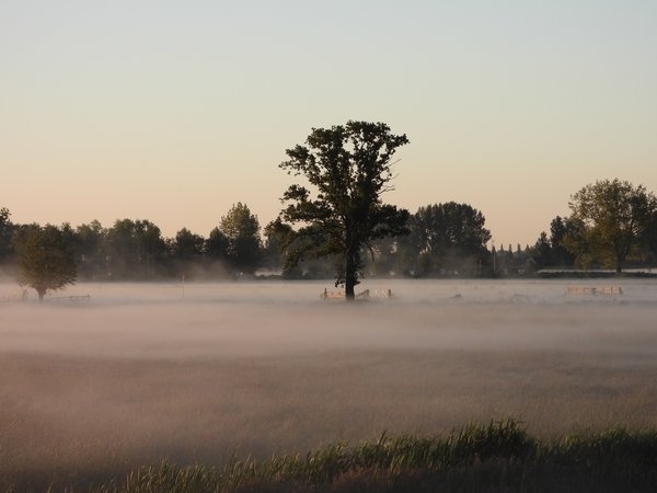 polderlakerveld1ekailexmond15052020 2